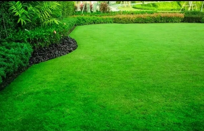 Best Landscaping company Nairobi Kenya - Luminous Cleaning and Fumigation Services